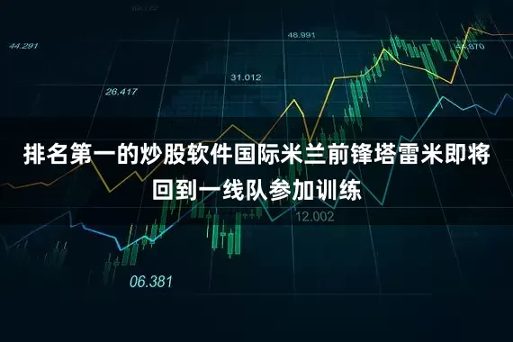 排名第一的炒股软件国际米兰前锋塔雷米即将回到一线队参加训练