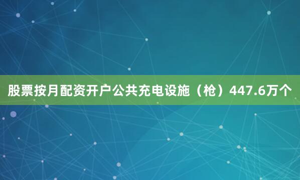 股票按月配资开户公共充电设施（枪）447.6万个
