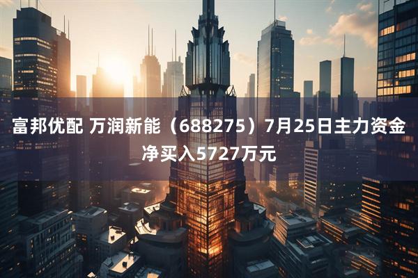 富邦优配 万润新能（688275）7月25日主力资金净买入5727万元